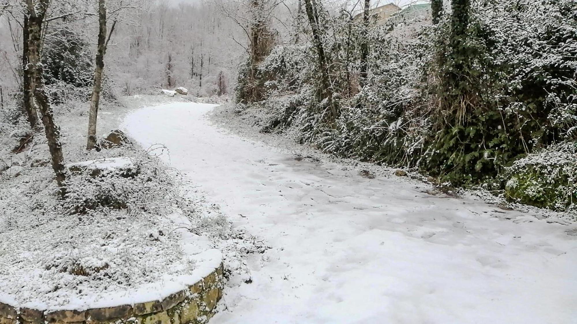 Villa Merola Novi Velia Buitenkant foto